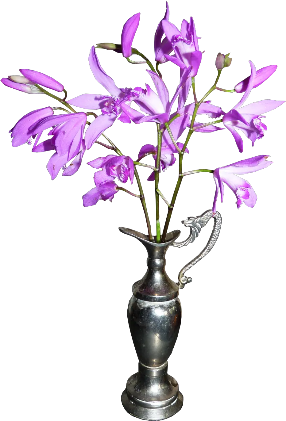  Orchid Png Image Tulip Vase Orchid Png