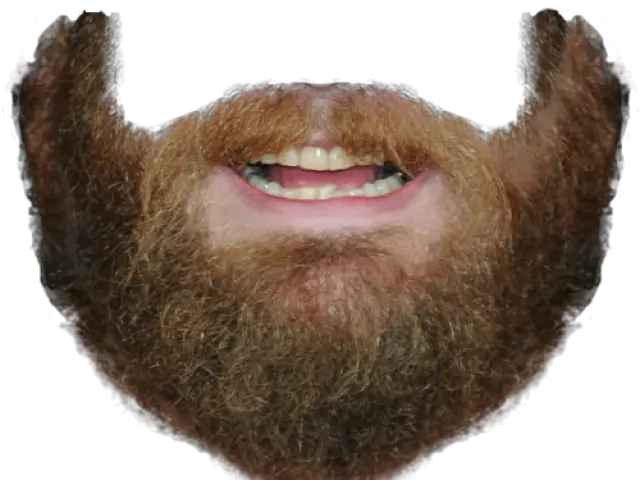  Png Beard Copy And Paste Beard Beard Transparent Background