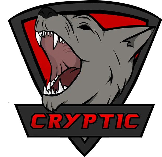  Download Hd Csgo Team Logo Png Cs Go Team Csgo Logo Png
