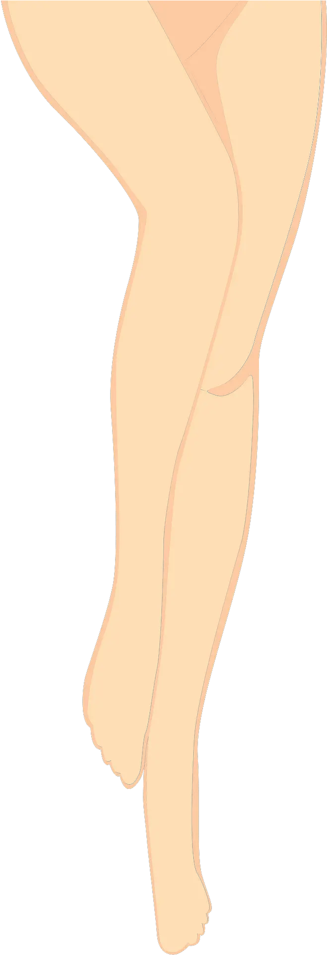  Legs Clipart Ankle Png Leg Png