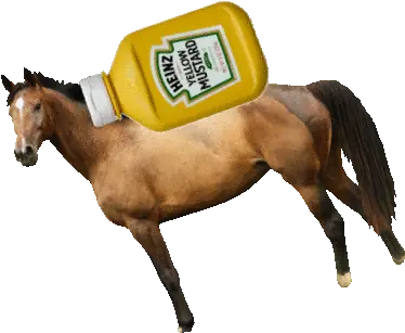  Horse Mustard Gif Horse Supplies Png Horse Icon On Tumblr