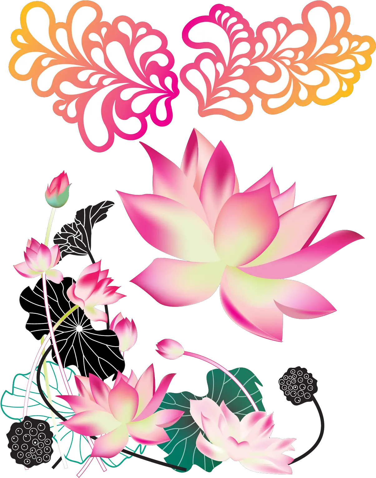  Colorful Lotus Vector Png Colorful Flowers Png