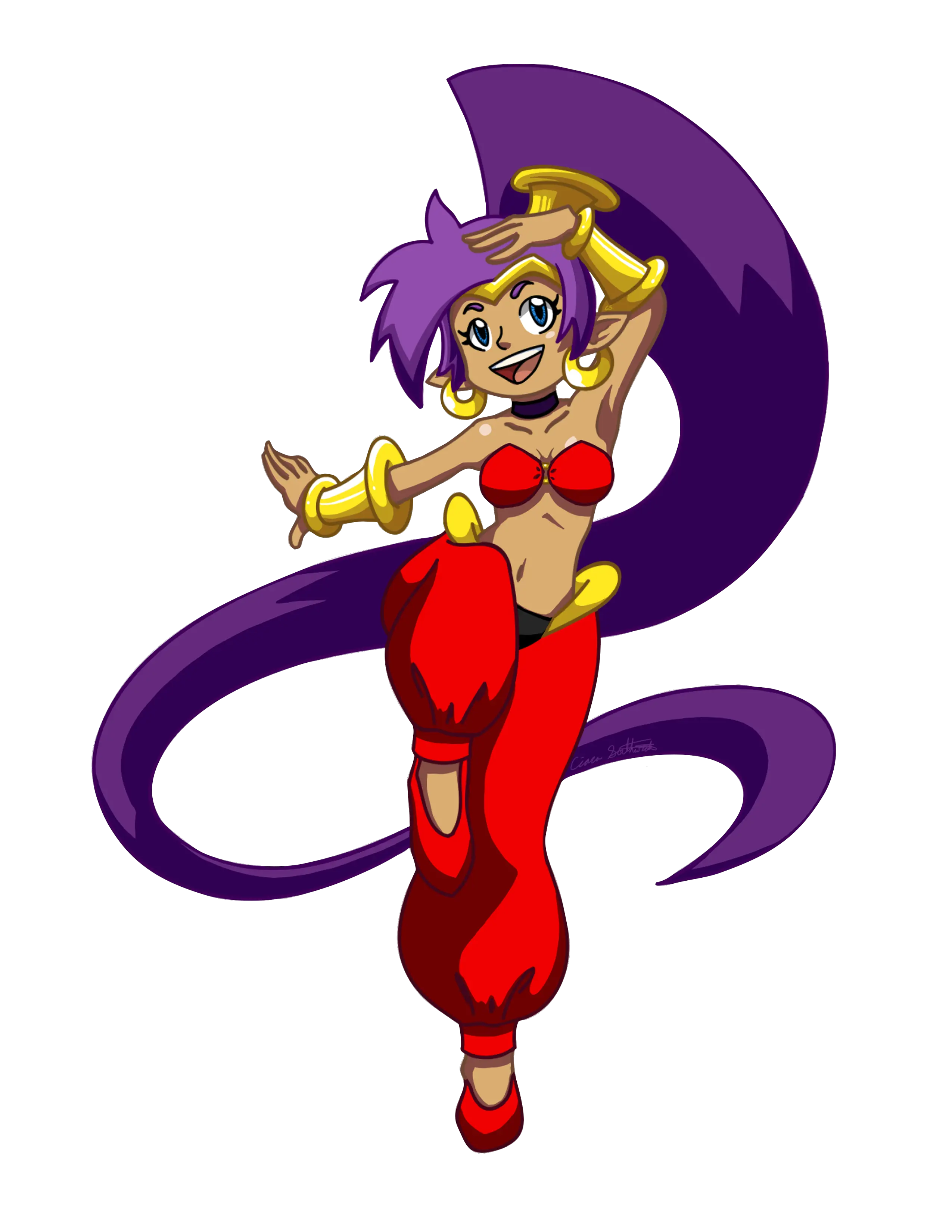  Shantae 2017 Png