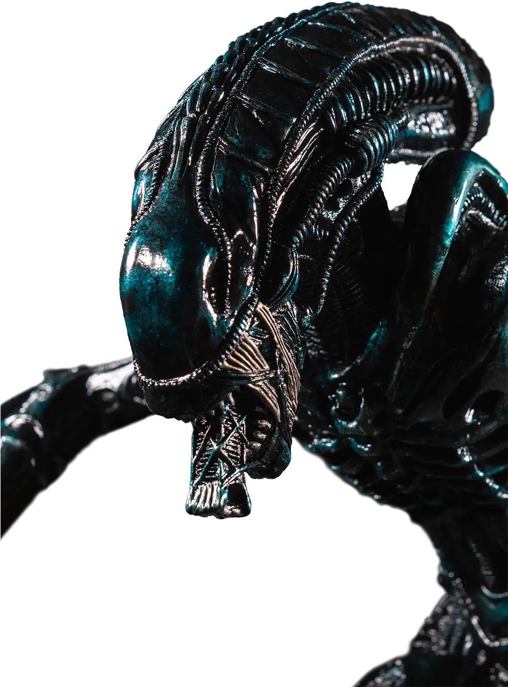  6 Scale Alien Statue Iguana Png Xenomorph Png