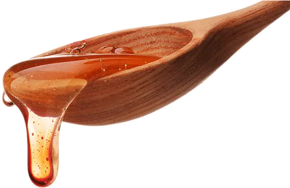  Honey Deeper Life December Retreat 2020 Png Honey Dripping Png