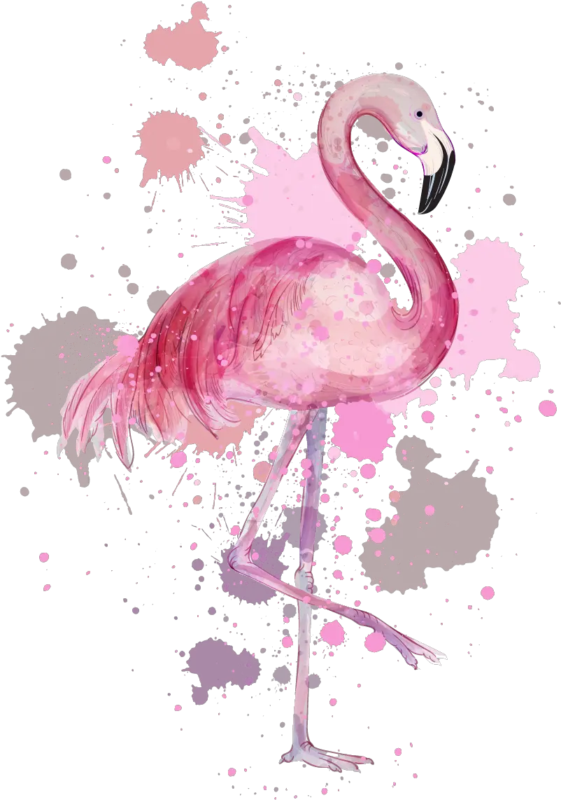  Png Pink Transparent Background Image Flamingo High Resolution Drawing Flamingo Transparent Background