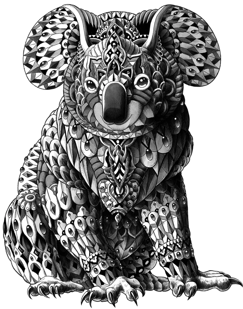  Koala Sticker Detailed Images Of Animals Png Koala Transparent