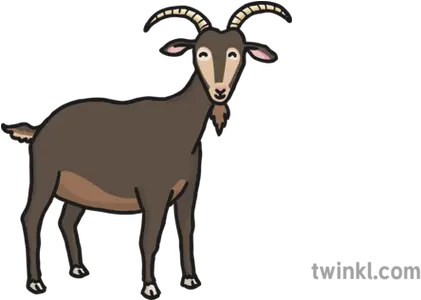  Big Billy Goat Gruff Illustration Twinkl Animal Figure Png Goat Horns Png