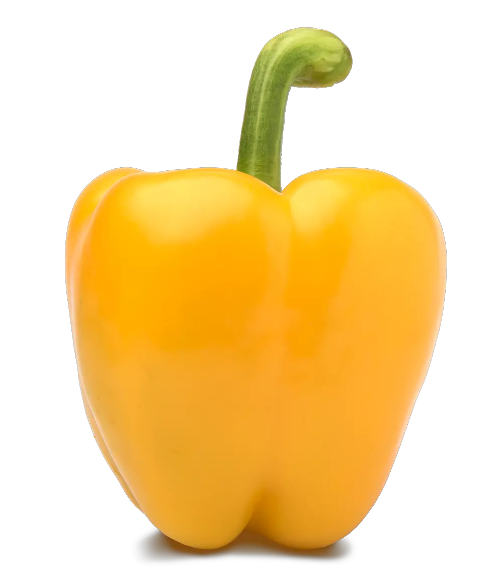  Yellow Bell Peppers Yellow Pepper Png Pepper Png