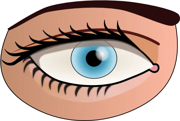  Eyes Clipart Png Picture Part Of Body Eye Eye Clipart Png