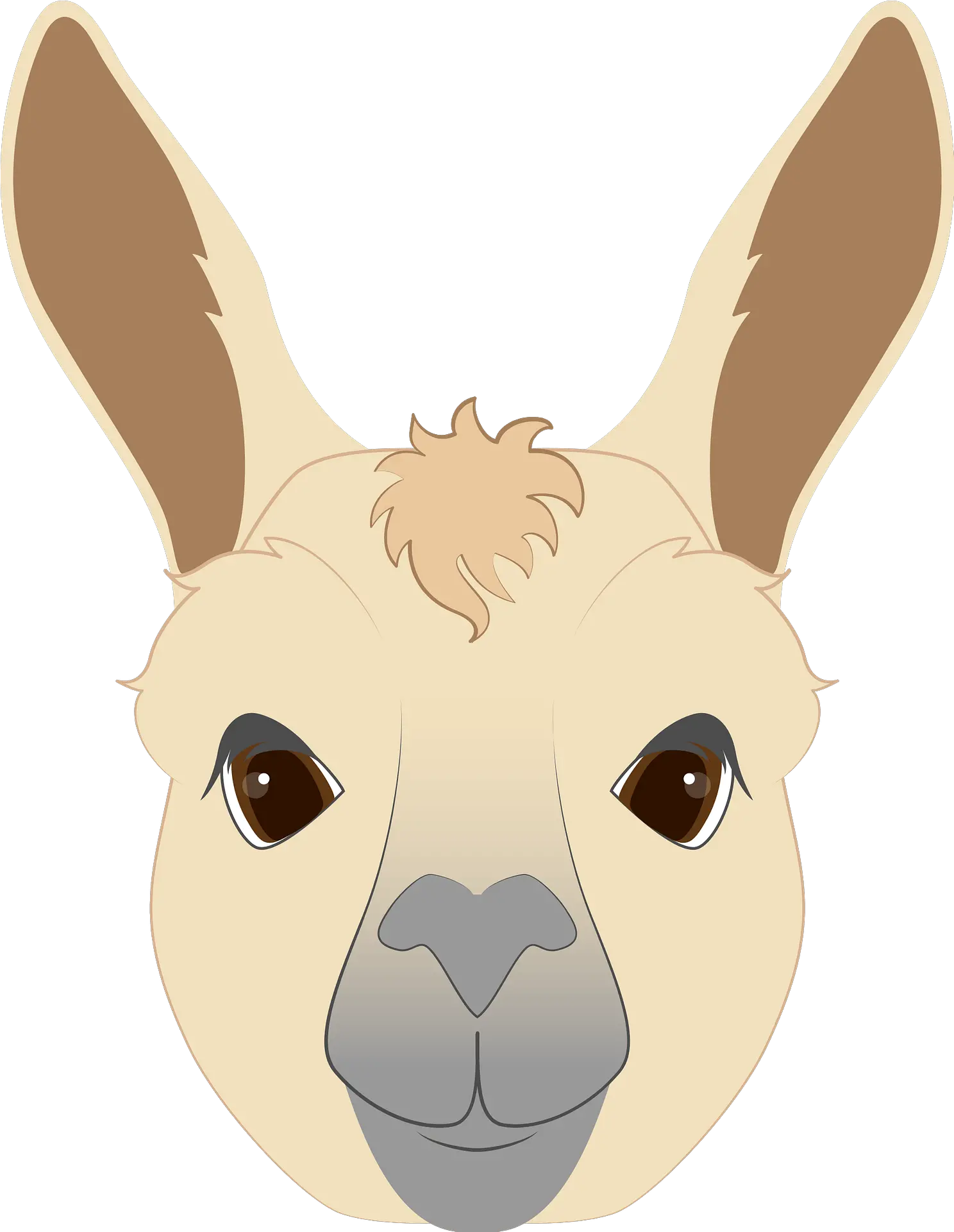  Llama Face Clipart Transparent Llama Head Clipart Png Llama Transparent