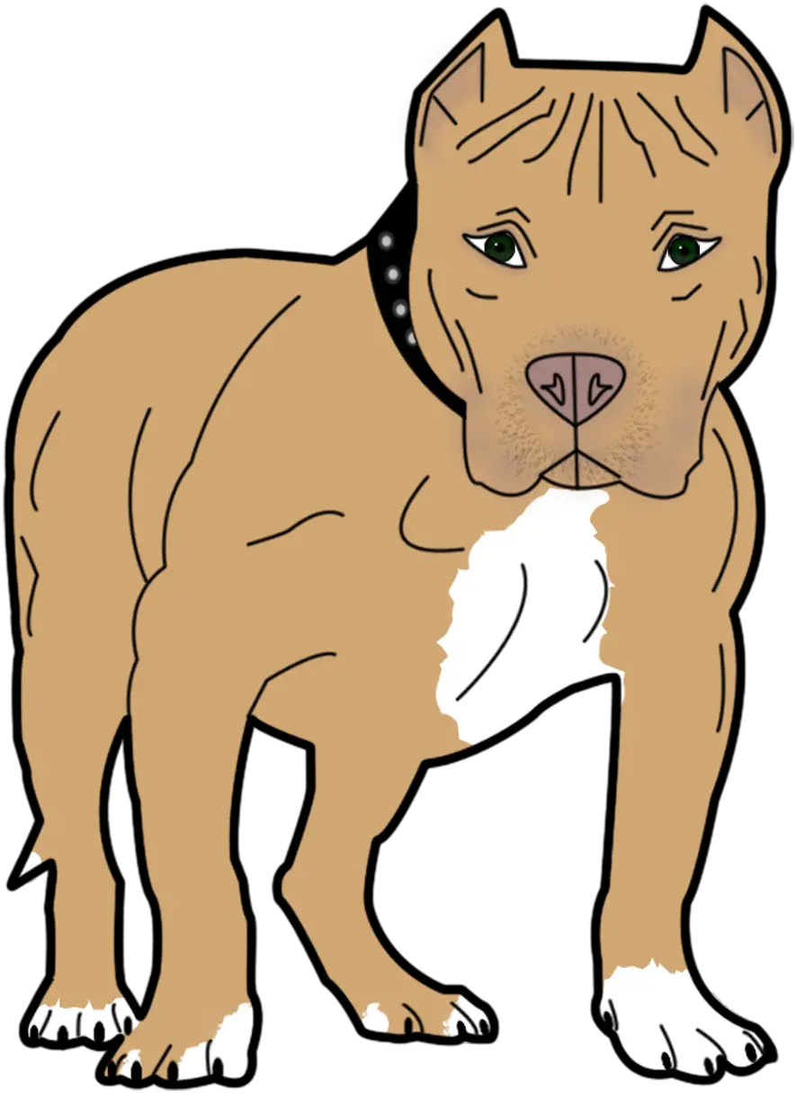  Dog Animal Pet Canine Bull Pit Png Pitbull Clipart Transparent Background Pit Png