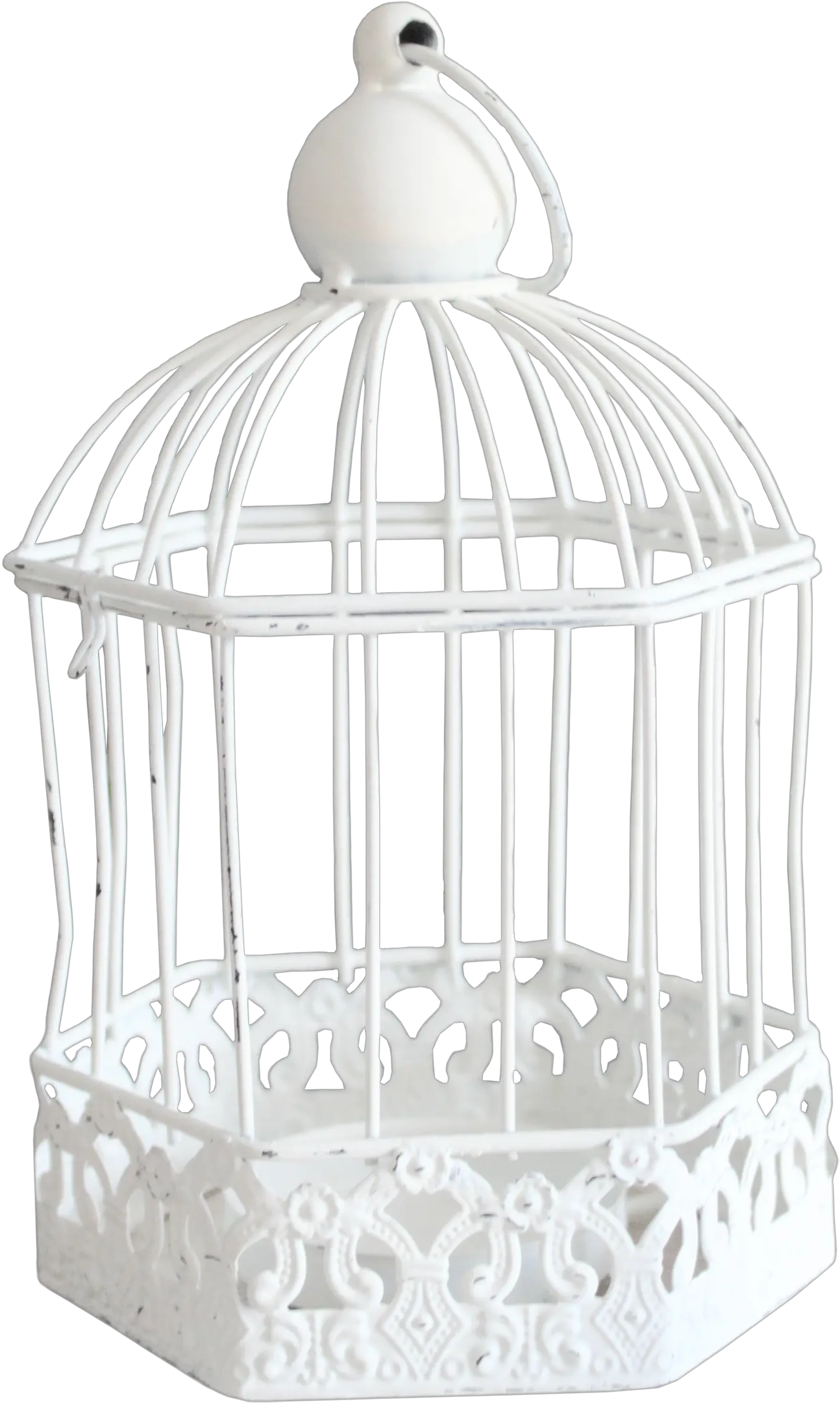  Cage Bird Png Transparent Background