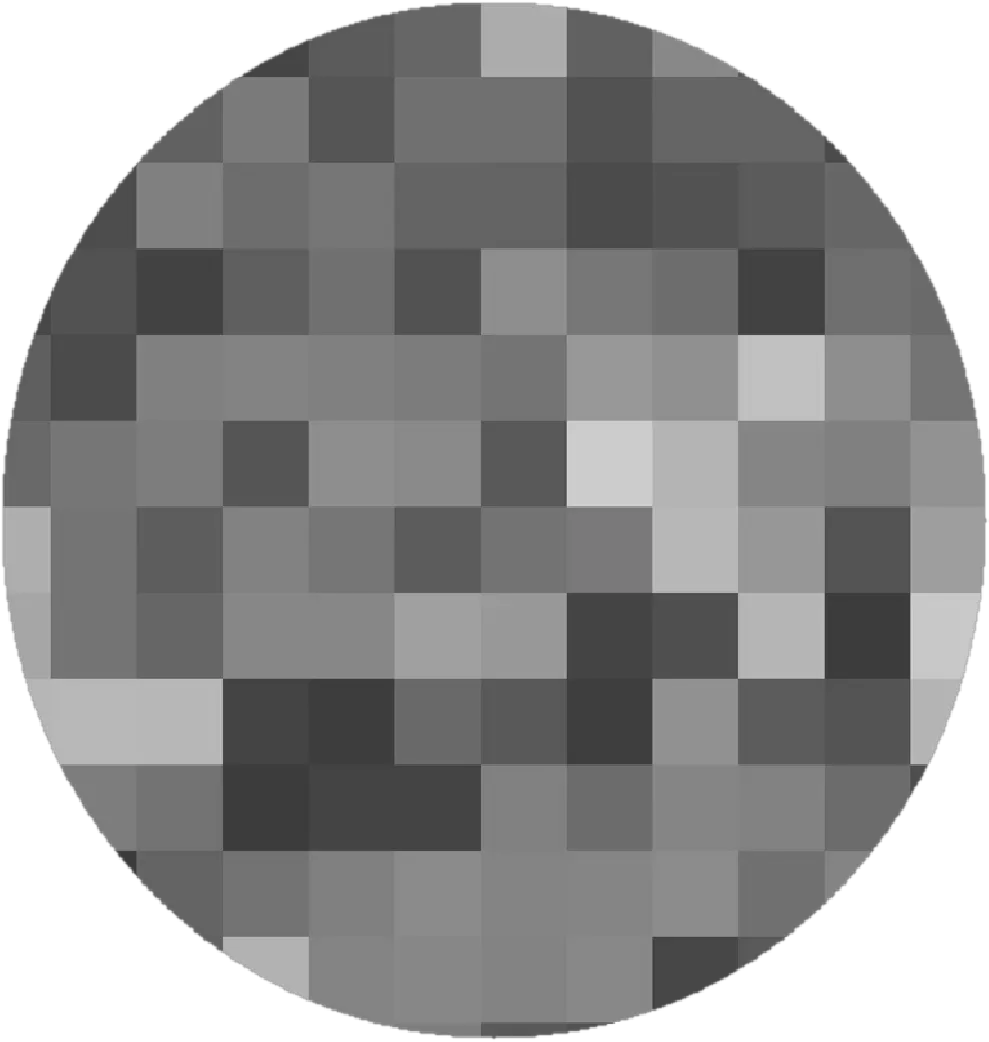  Circle Pixelated Censored Mono Sticker By Stacey4790 Censorship Png Blur Transparent