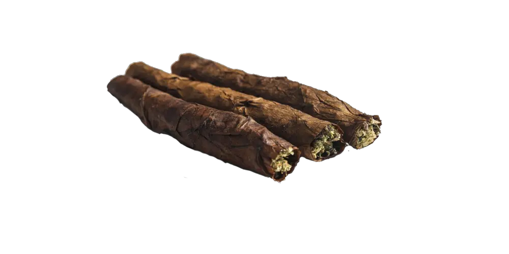  Download Backwoods Backwood Transparent Png Blunt Transparent Background