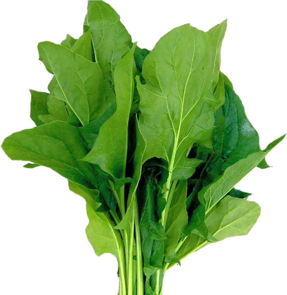  Spinach Png Spinach Hd Spinach Png