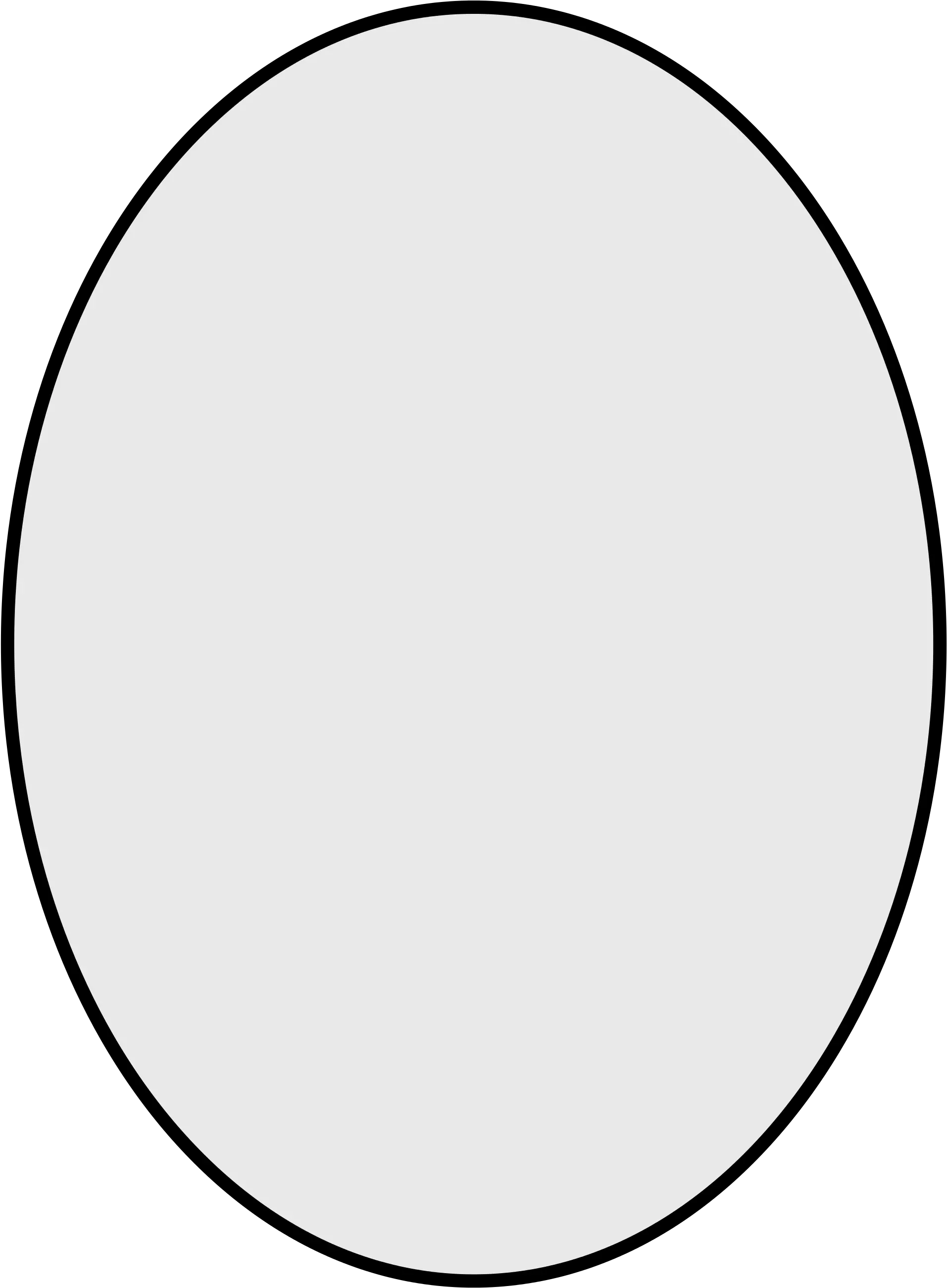  Oval Shape Png 8 Image White Oval Png Oval Png