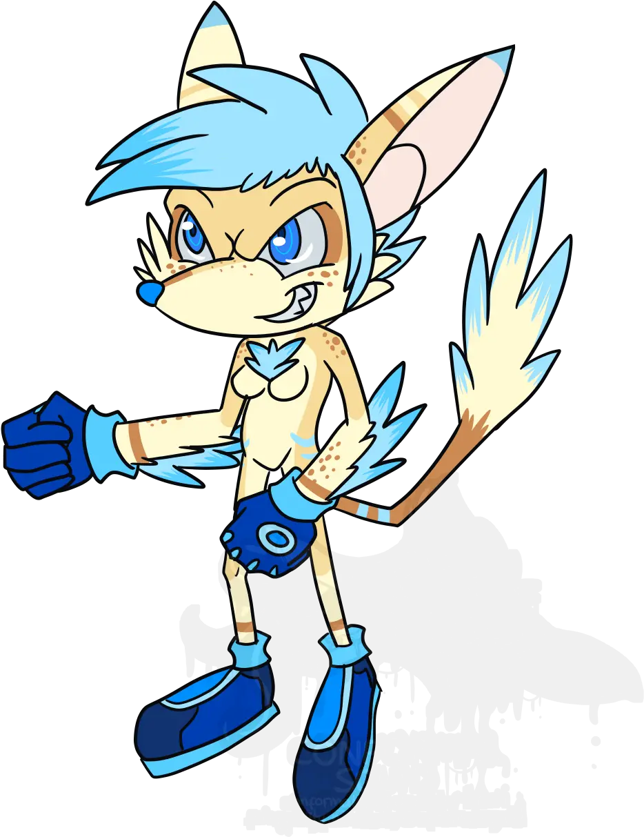  Kayden The Sanic Weasyl Kayden The Hedgehog Png Sanic Transparent