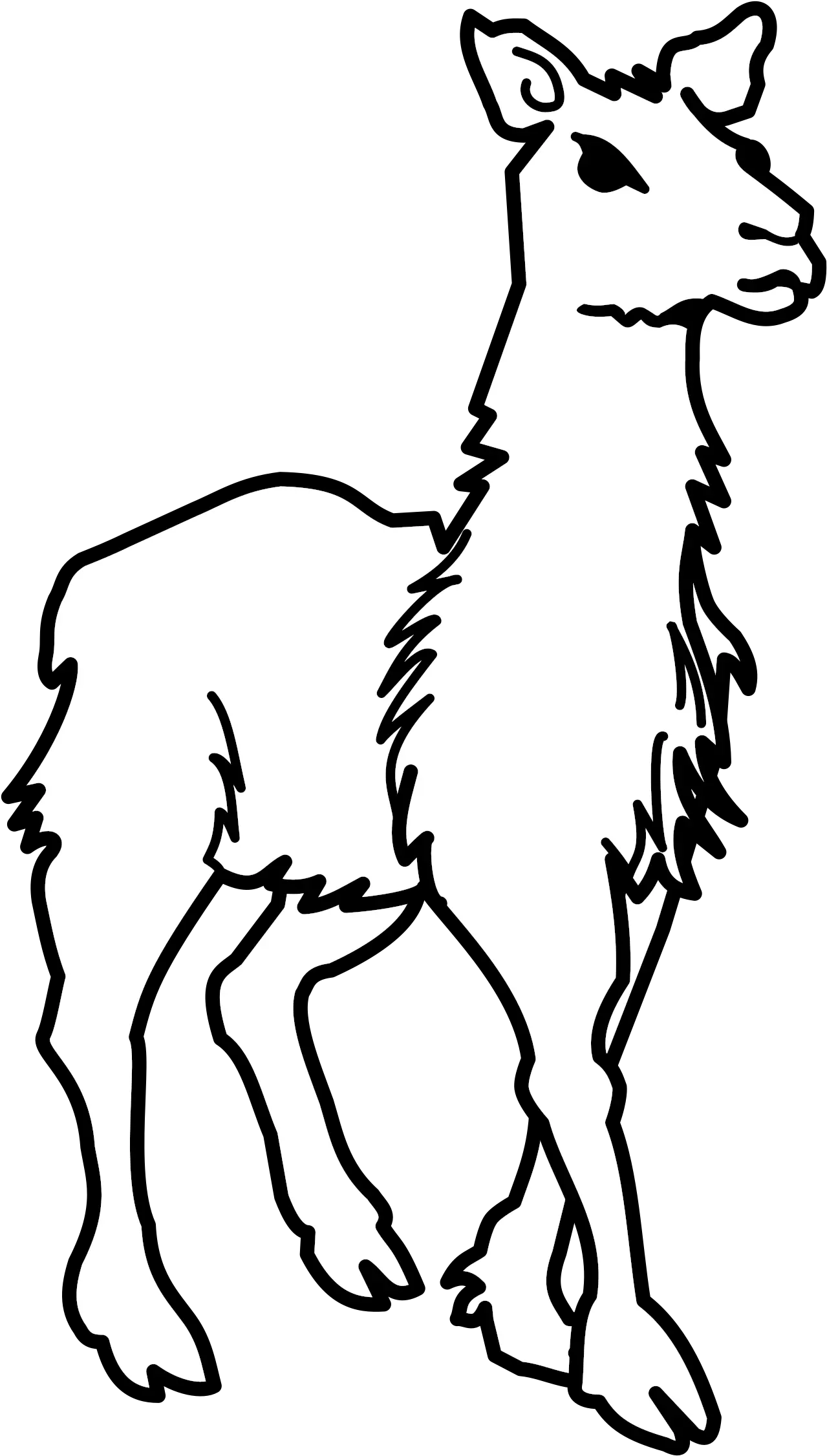  Clipart Llama Lineart Llama Png Black And White Llama Transparent