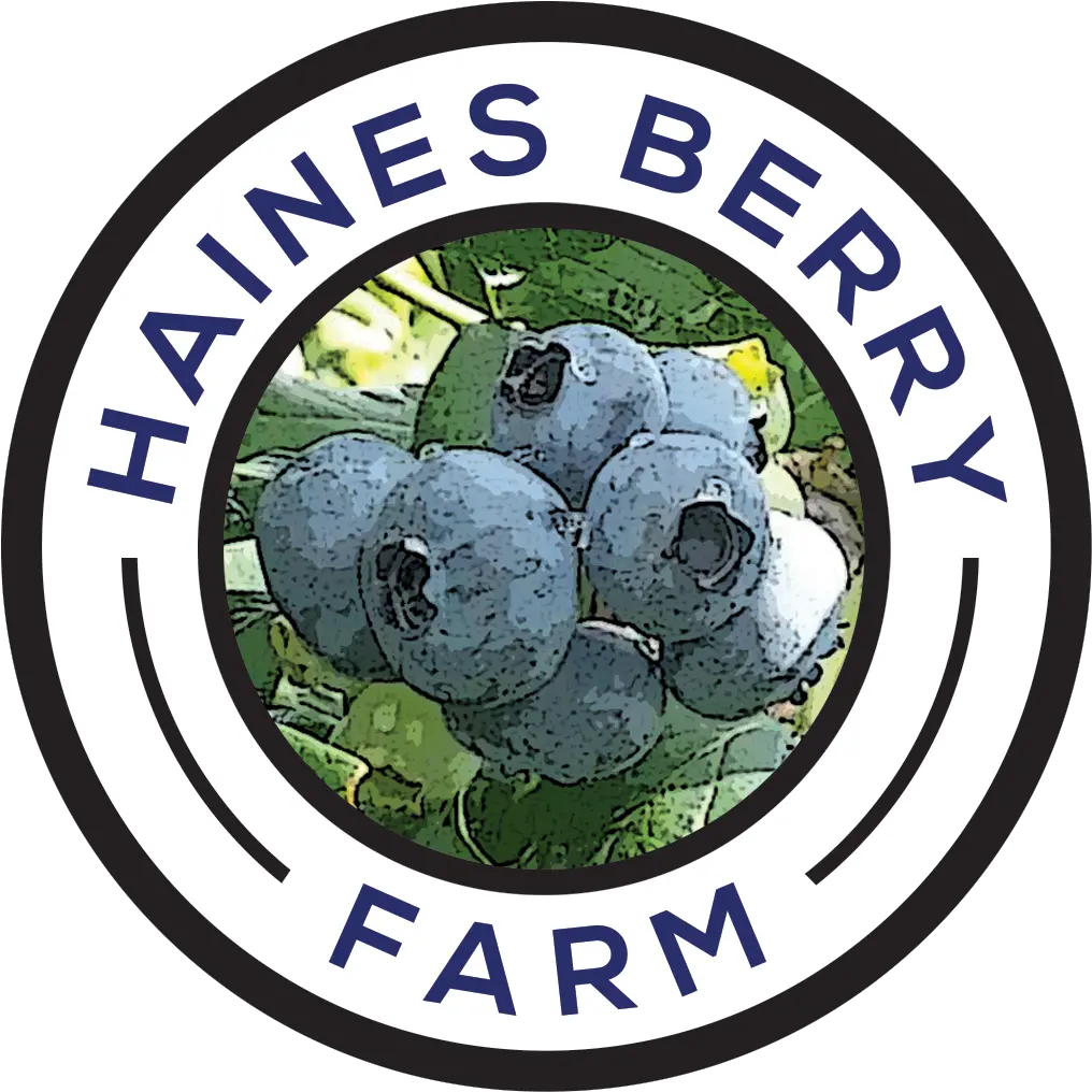  Home Haines Berry Farm Diamond Png Berry Png