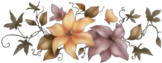  Index Of Userstbalzeflowerpng Magnolia Beauty Flower Png Lily Flower Png