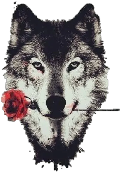  Tumblr Png And Vectors For Free Download Dlpngcom Wolf Face Tattoo With Rose Wolf Icon Tumblr