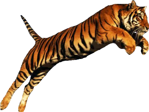  Running Tiger Png U0026 Free Tigerpng Transparent Tiger Jumping Tiger Transparent