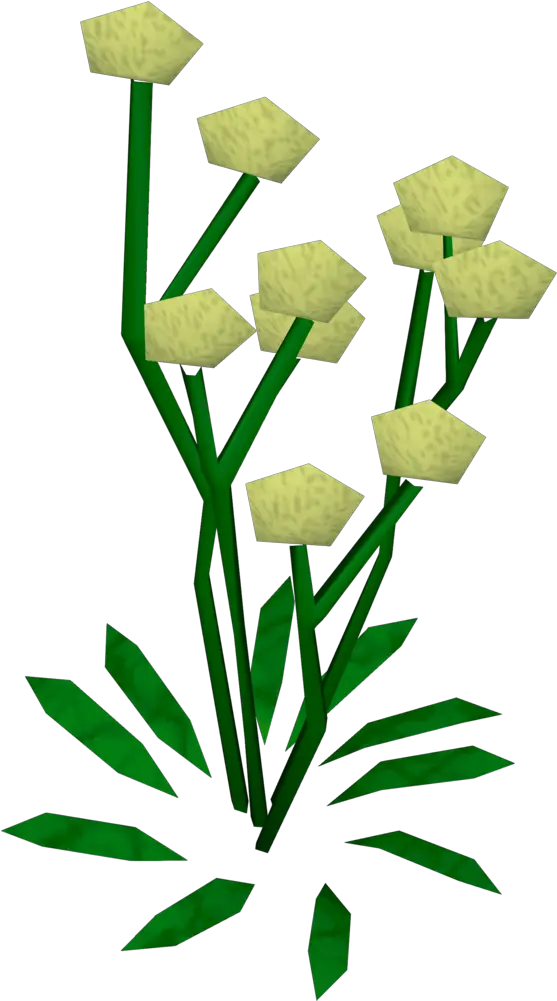  Daffodils The Runescape Wiki Clip Art Png Daffodil Png