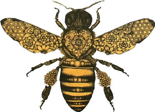  Pin Auf E G M Honey Bee Vintage Bee Drawing Png Transparent Bees