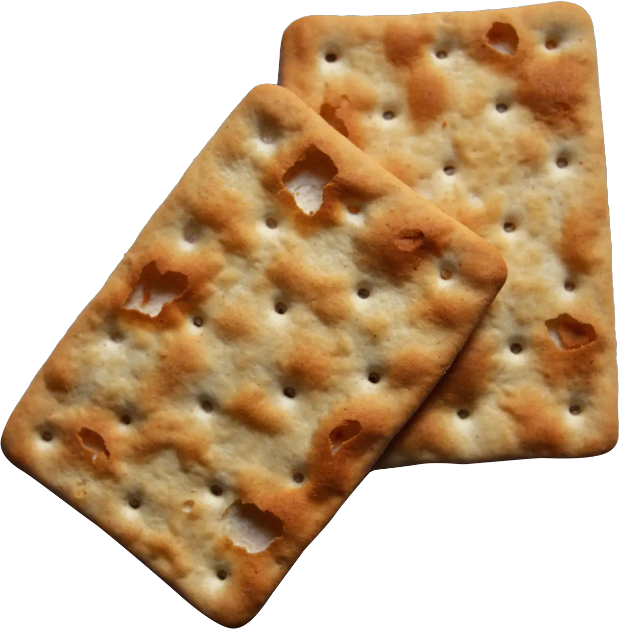  Biscuit Png Transparent Image Hardtack Png Biscuit Png