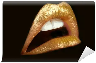  Gold Lips Wall Mural Pixers We Gold Lips Png Gold Lips Png