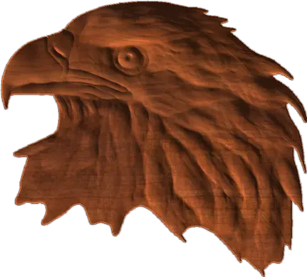  Download Bald Eagle Head Cnc Router Png Image With No Hawk Eagle Head Png