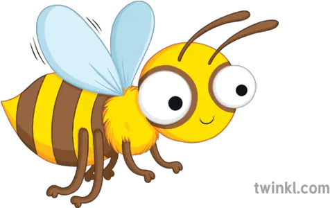  Cartoon Bee English Insect Secondary Illustration Twinkl Honeybee Png Cartoon Bee Png