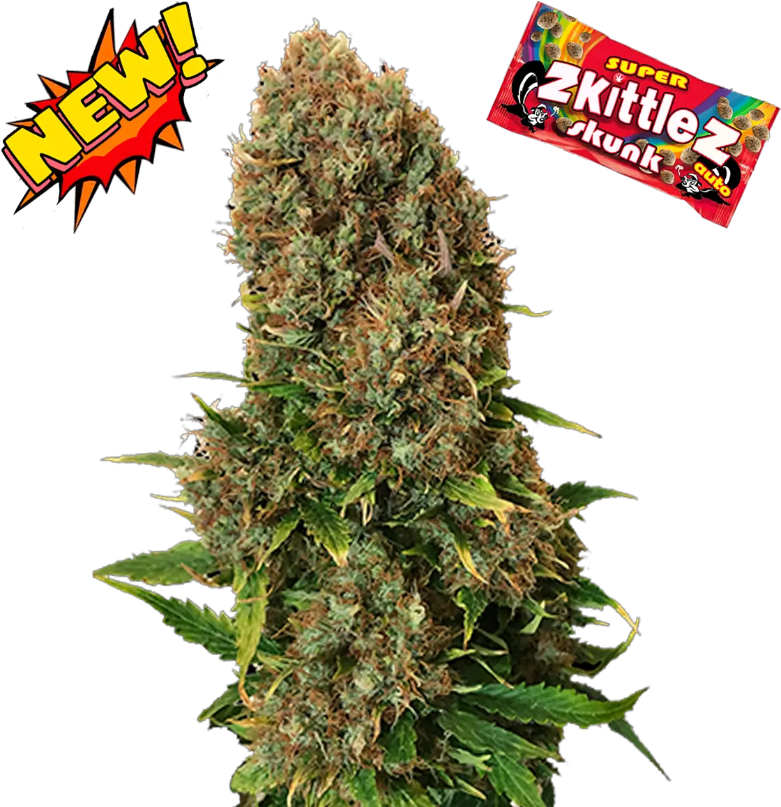  Super Zkittlez Skunk Crop Png Skunk Png