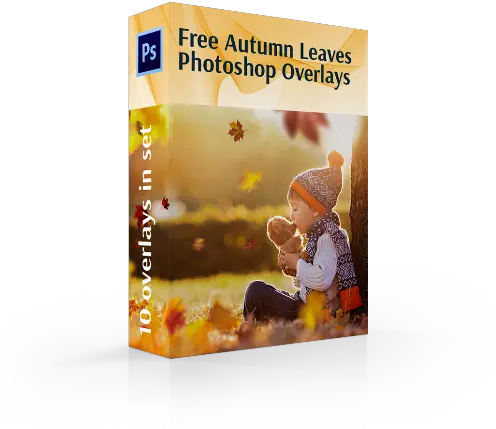  Leaves Overlay Photoshop Freefalling For Adobe Photoshop Png Fall Trees Png