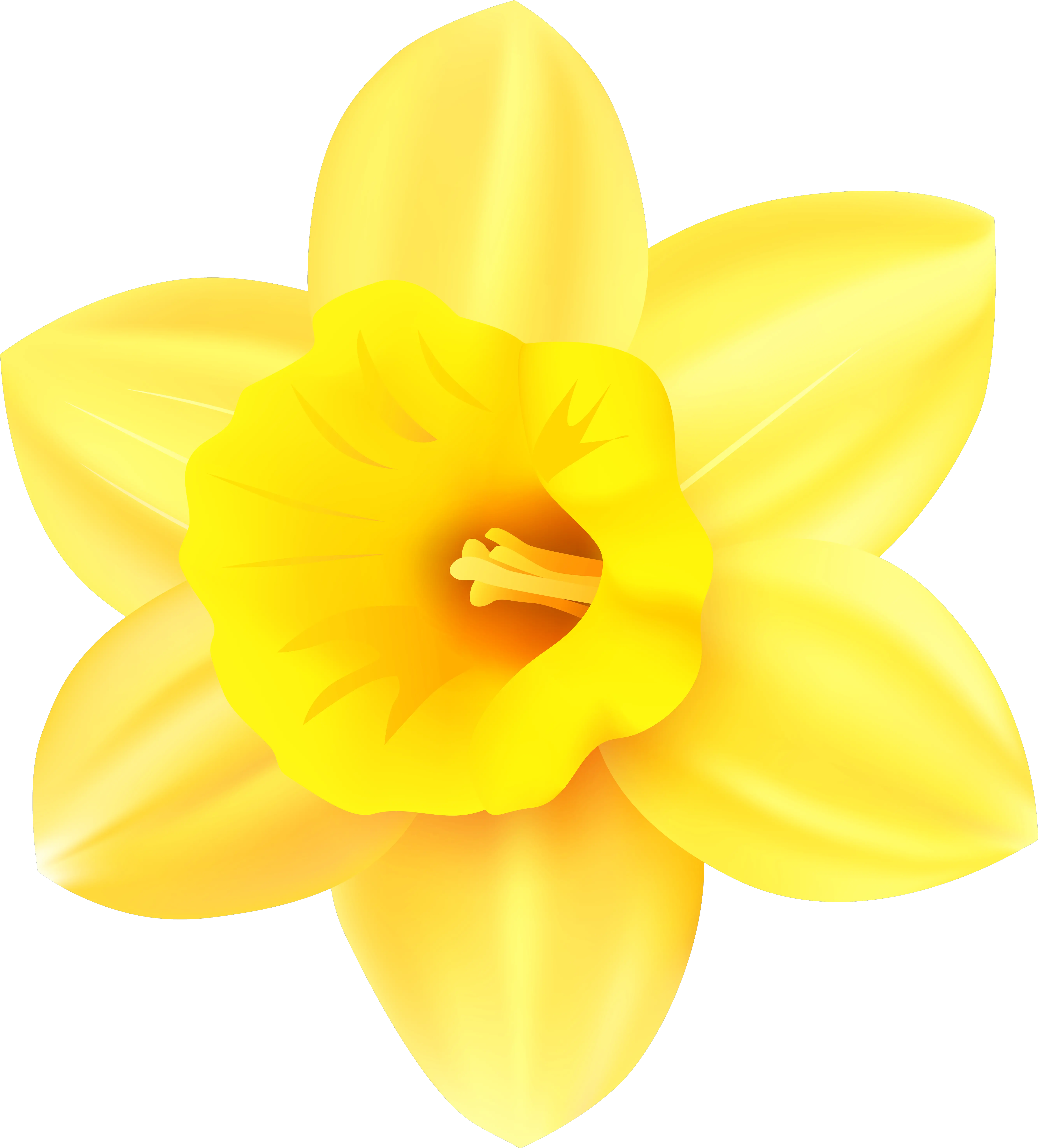  Clip Art Transparent Background Transparent Daffodil Clipart Png Daffodil Png