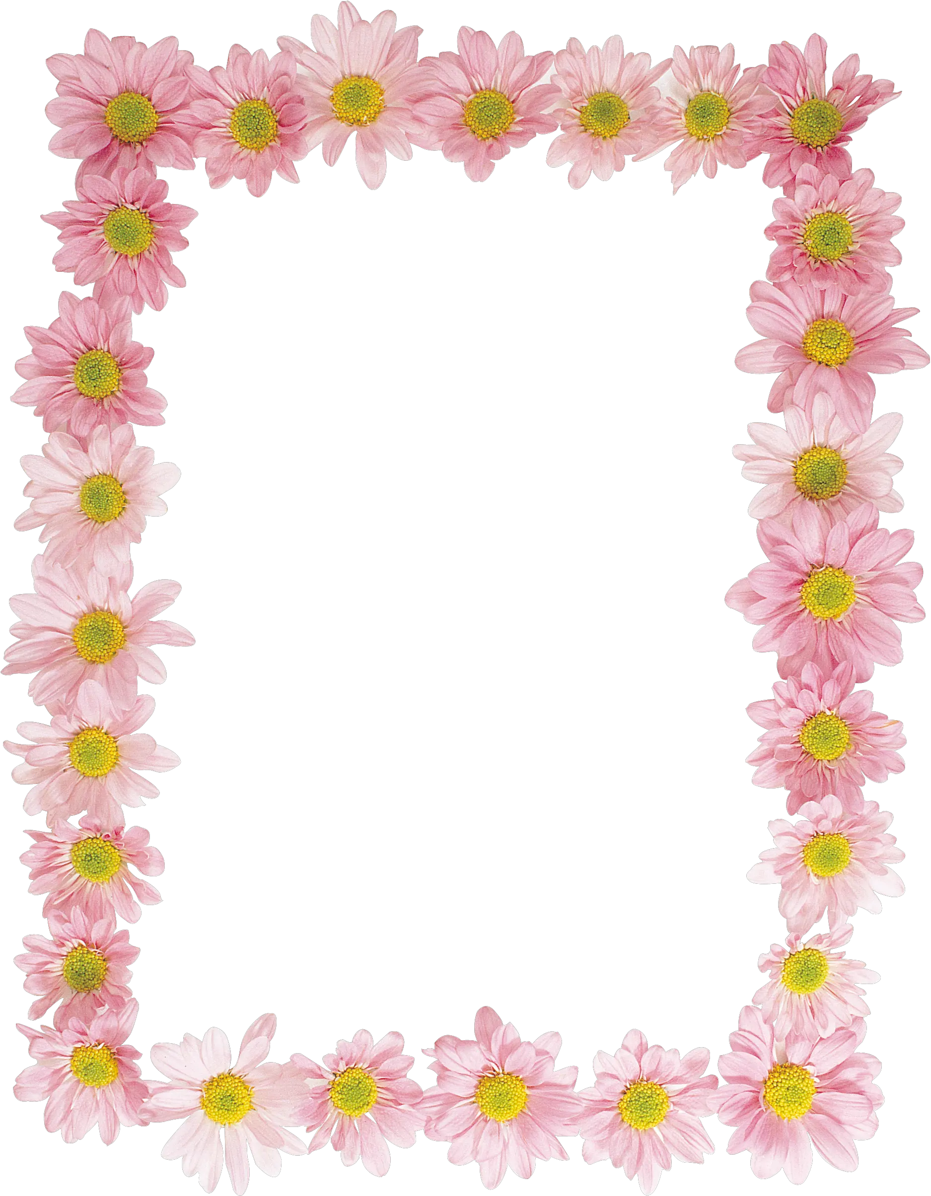  Floral Frame Png Background Play Cadre Floral Png Floral Frame Png