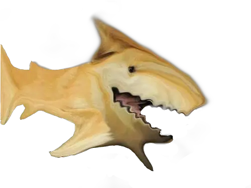  Shoge Png Album On Imgur Dogelore Transparent Shark Png