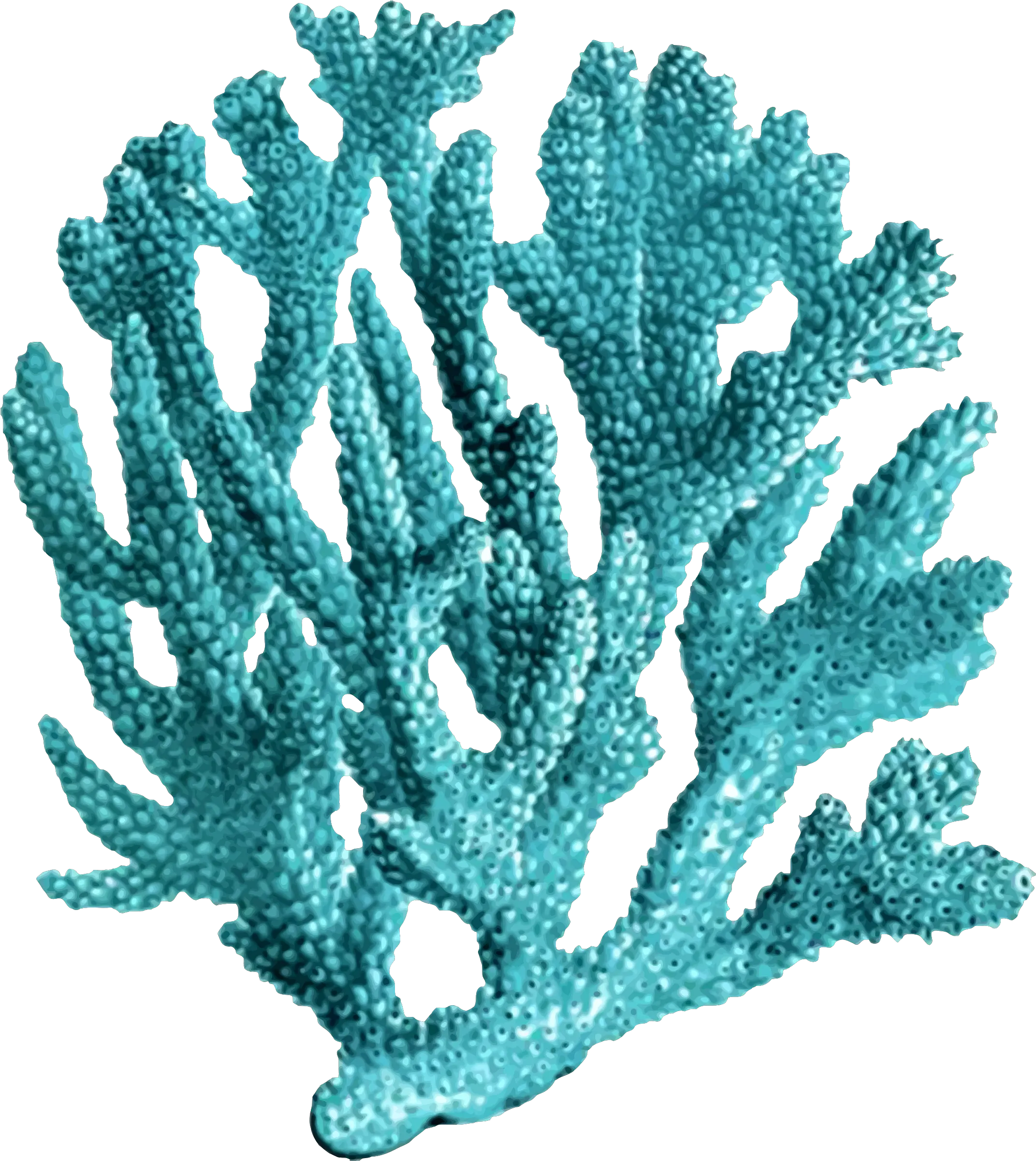  1522160276 Coral Reef Png