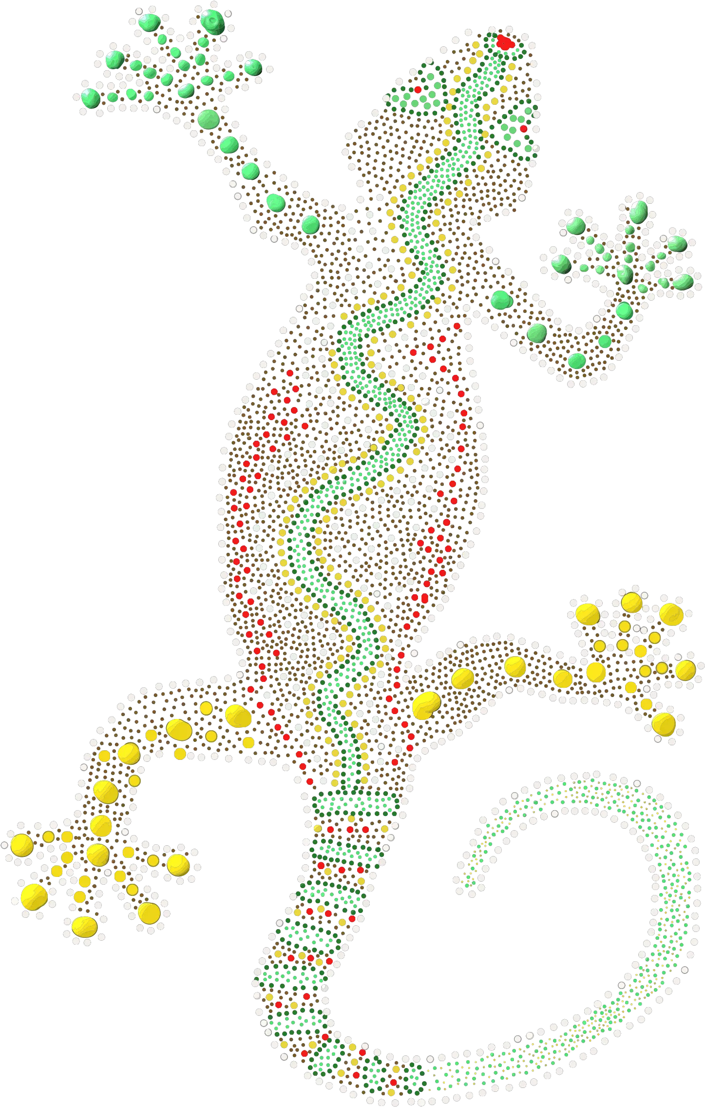  Clipart Dot Matrix Lizard Illustration Png Lizard Png