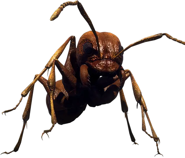  Earth Defense Force Iron Rain Earth Defense Force Ants Png Ant Png