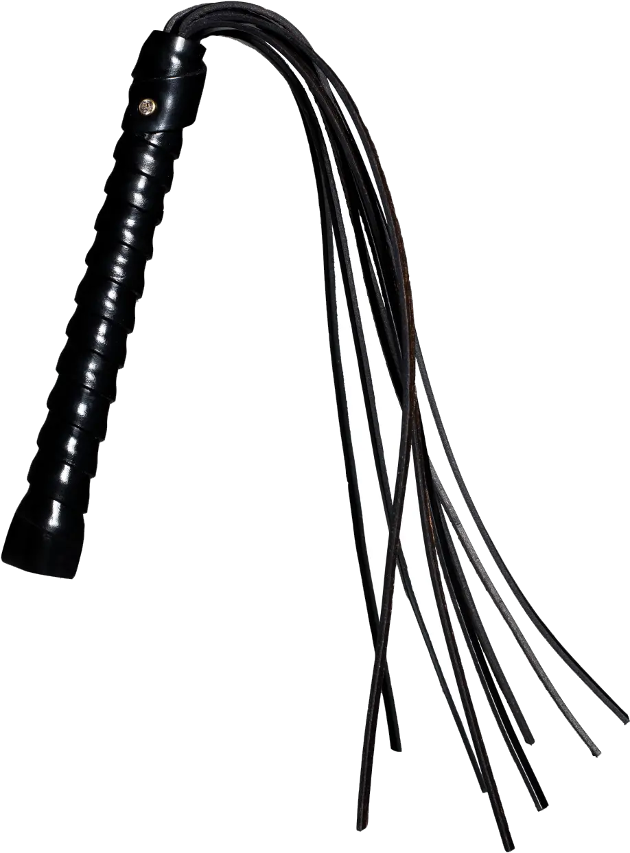  Whip Png Transparent Image Transparent Whip Png Whip Png