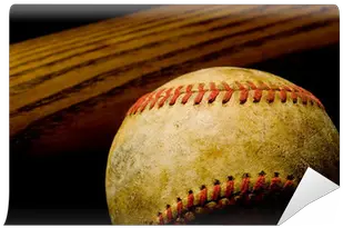  Baseball Bat And Ball Wall Mural Baseball Bat Png Baseball Ball Png