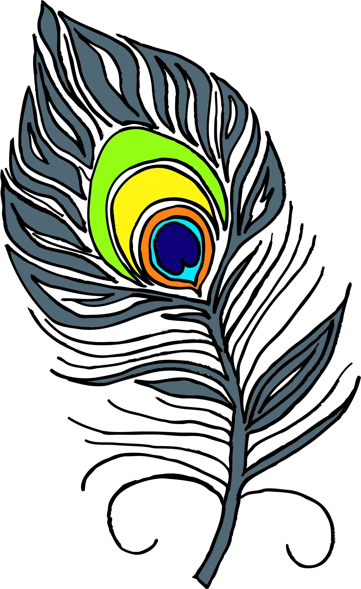  Drawing A Feather From Peacocks Tail Peacock Feather Clipart Black And White Png Feather Drawing Png