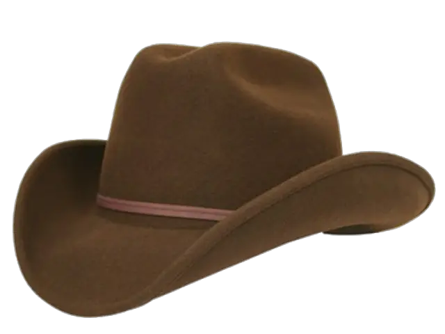  Cowboy Hat Png Transparent Images Cowboy Hat Png Black Cowboy Hat Png