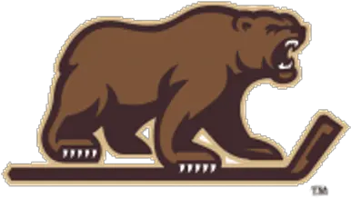  Search Results For Chicago Bears Png Hershey Bears Logo Chicago Bears Png