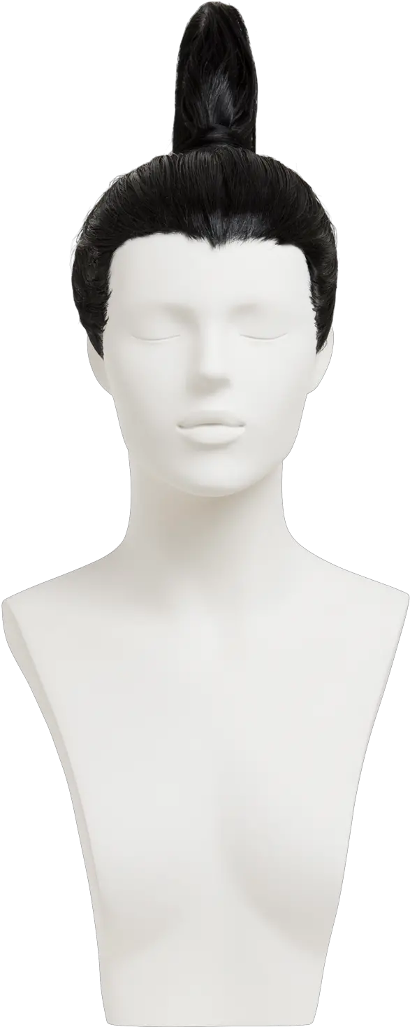  Hwfb Hair Design Png Mannequin Head Png