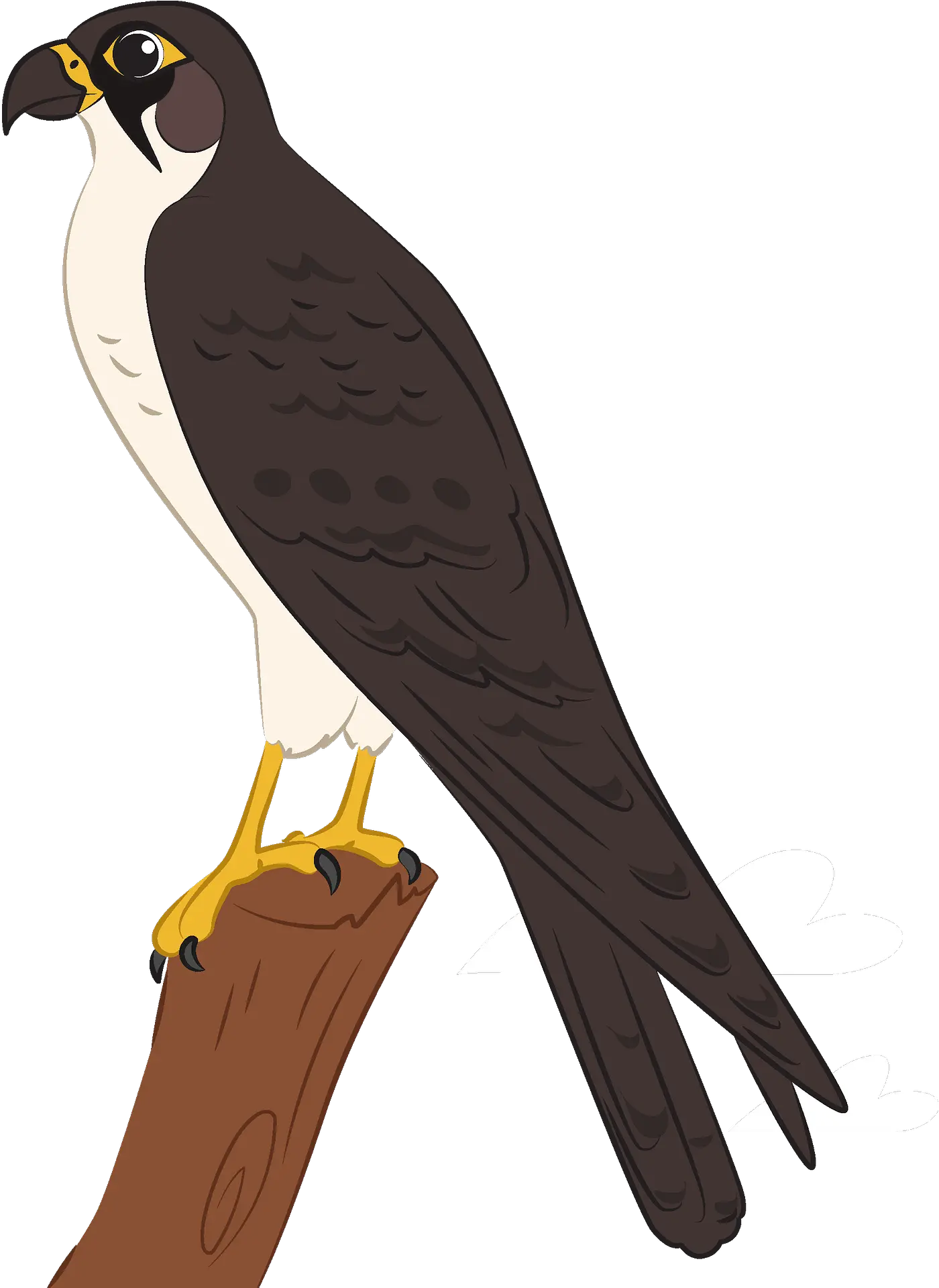  Clipart Falcon Png Falcon Transparent