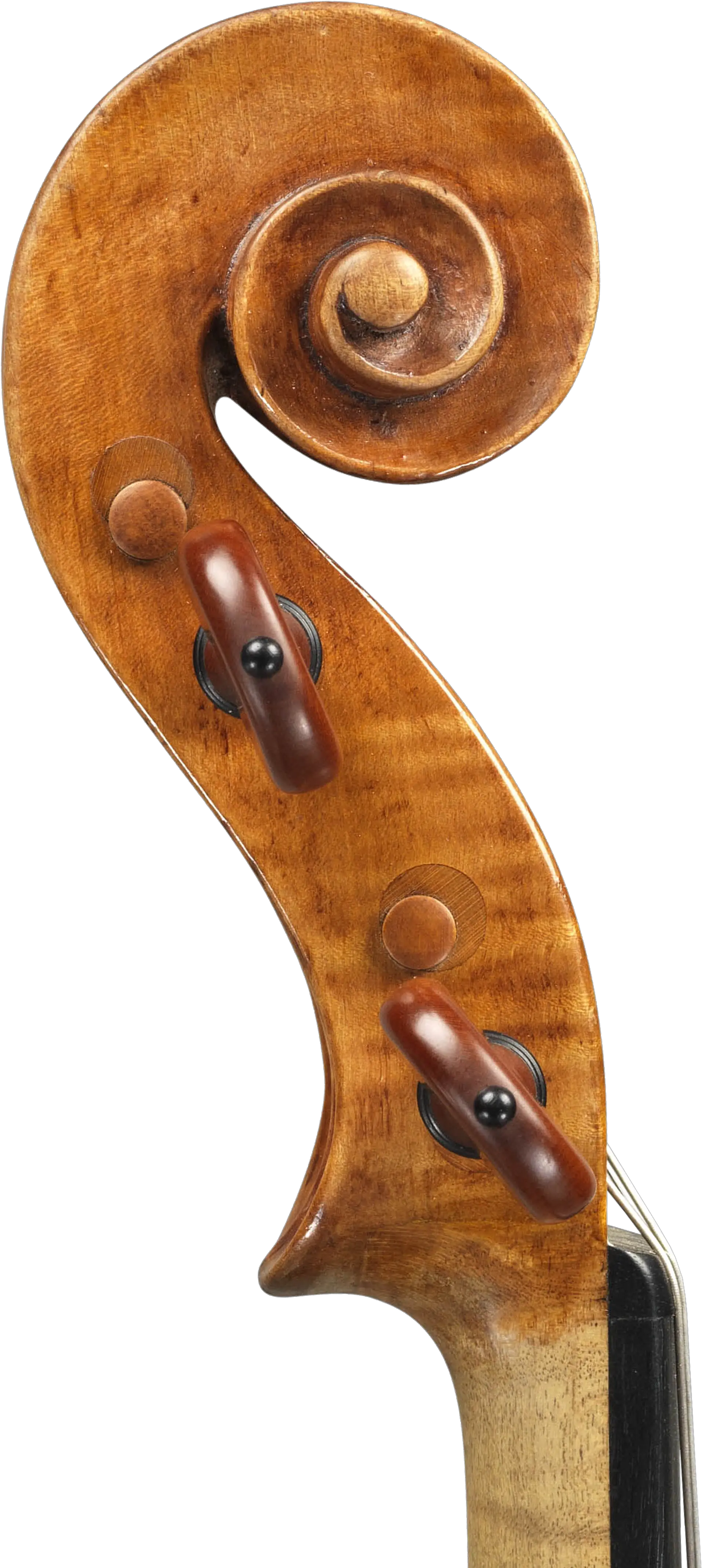  Giuseppe Ceruti Violin For Sale Solid Png Violin Transparent