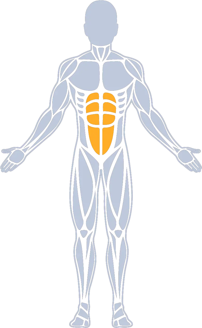  The Program Aimsworx Standing Back Strengthening Exercises Png Abs Png